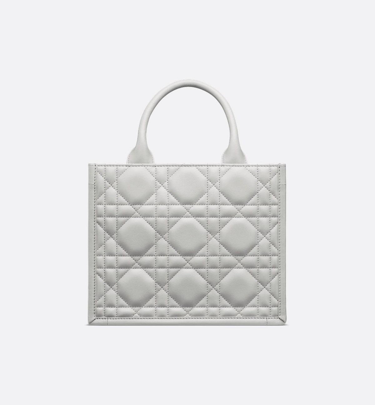 Sac Dior Book Tote Small - #7