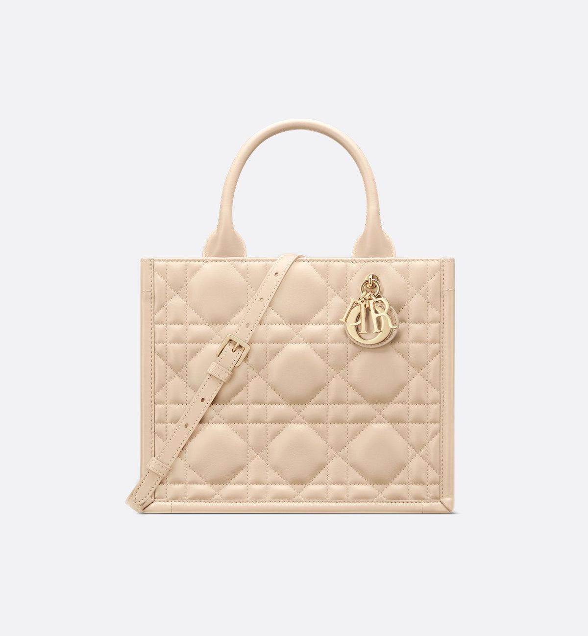 Sac Dior Book Tote Small - #10