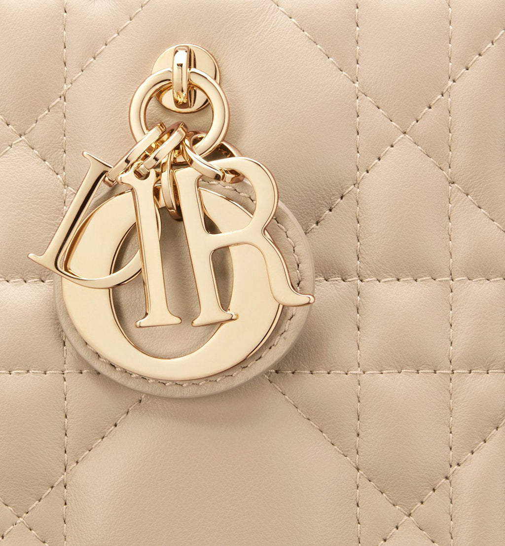 Sac Dior Book Tote Small - #10