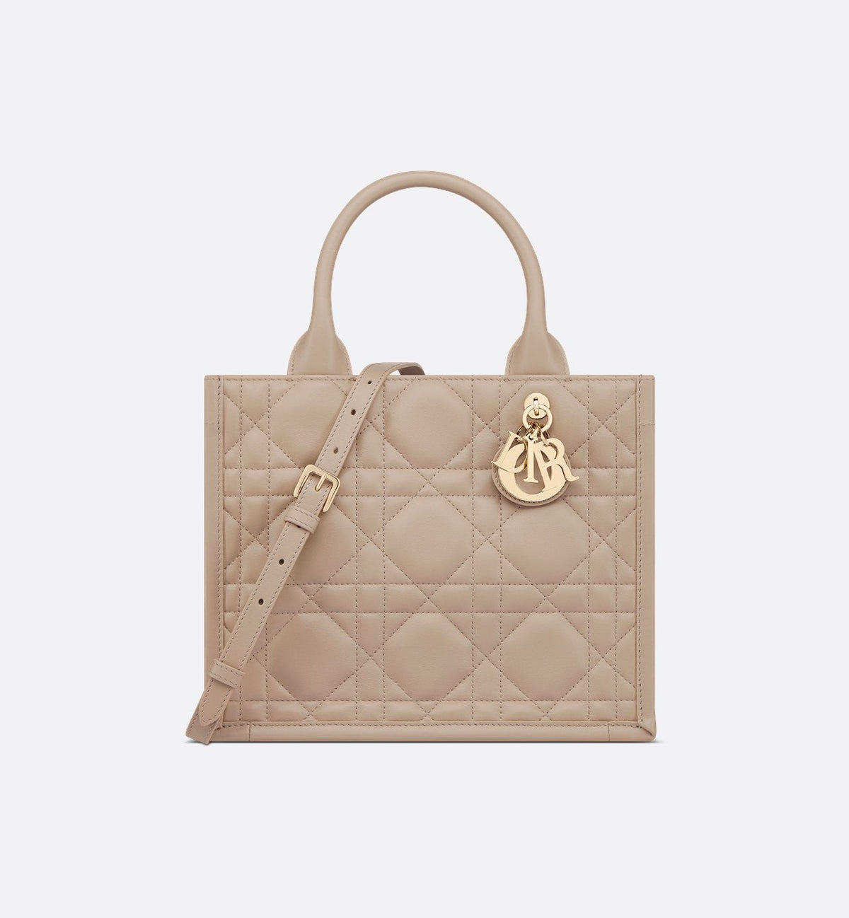 Sac Dior Book Tote Small - #5